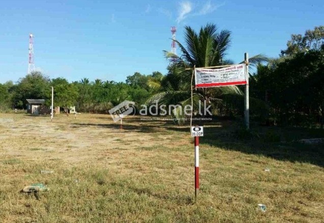 Land For Sale In Ranna