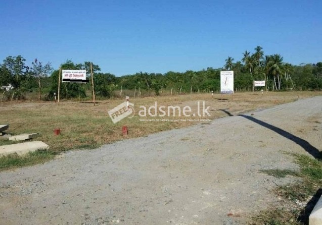 Land For Sale In Ranna