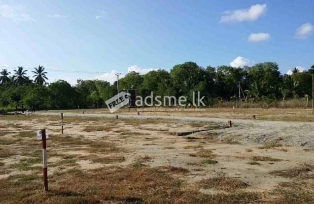 Land For Sale In Ranna