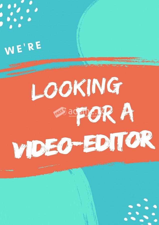Looking for a Video-Editor