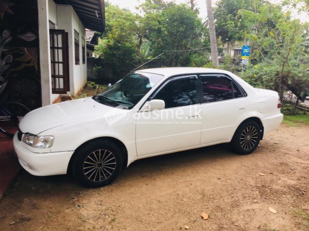 Toyota Corolla 1997 (Used)