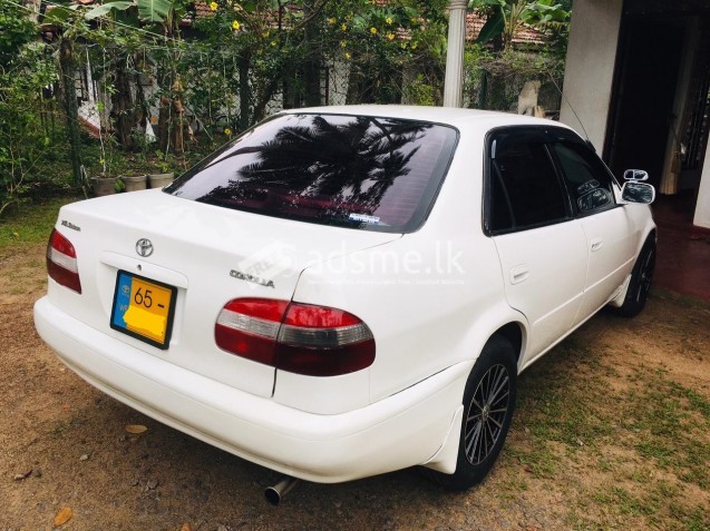 Toyota Corolla 1997 (Used)