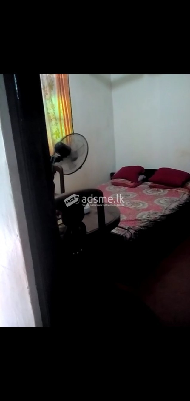 Colombo homes