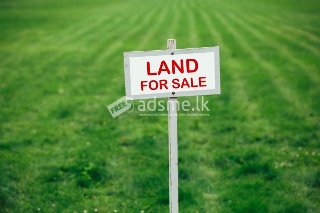 Land for Sale in Keenagaspitiya