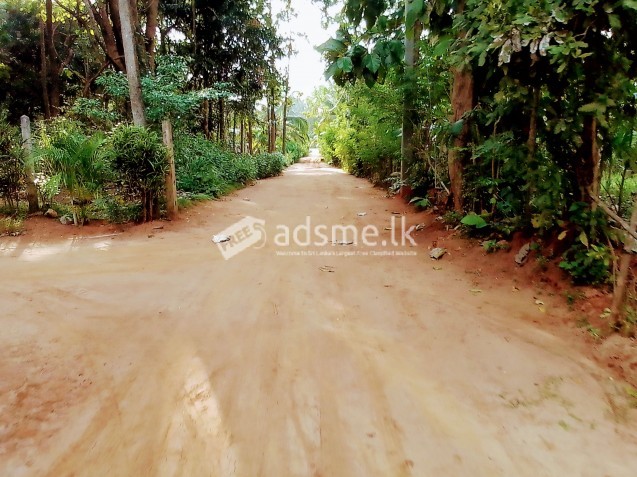 Land for sale
