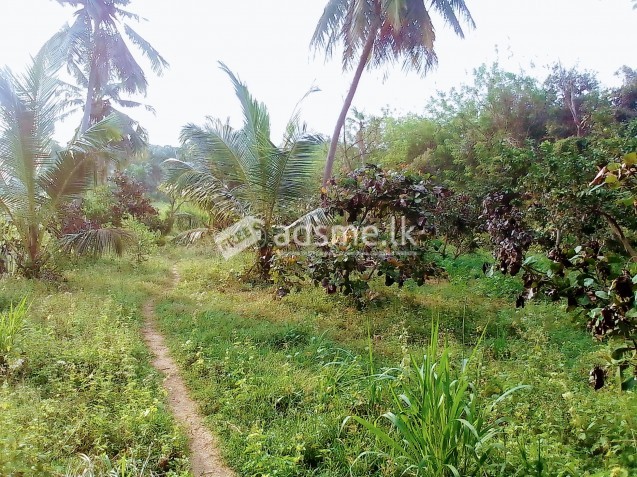 Land for sale