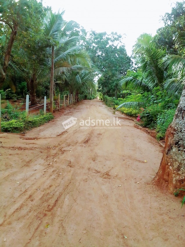 Land for sale