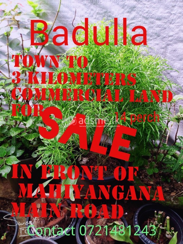 Commercial land for sale