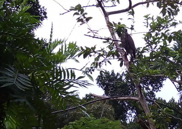වියාපාරයකට සුදුසු වටිනා ඉඩම