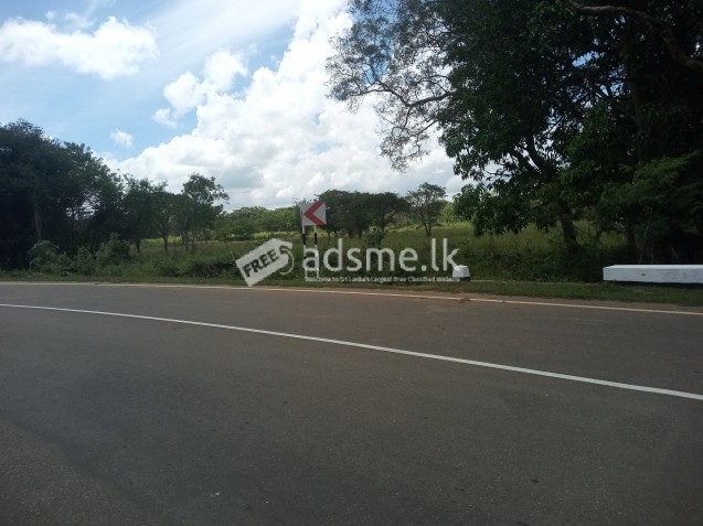 නිස්කලංක පරිසරයක වගා ඉඩම් අක්කර 3ක්