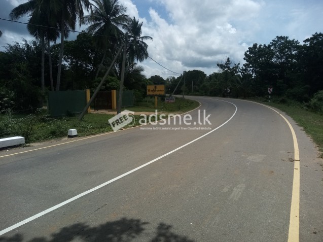 නිස්කලංක පරිසරයක වගා ඉඩම් අක්කර 3ක්