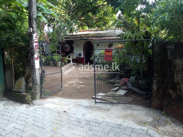 Residential land