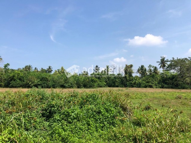 Land for Sale in Katuwangoda