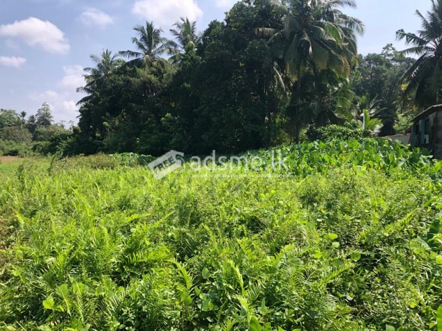 Land for Sale in Katuwangoda
