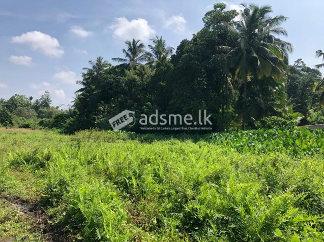 Land for Sale in Katuwangoda