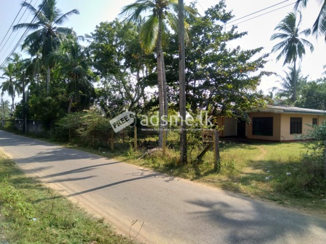 Land for Sale in Molligoda