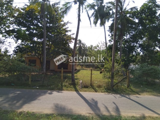 Land for Sale in Molligoda