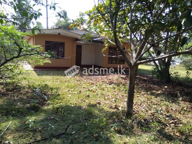 Land for Sale in Molligoda