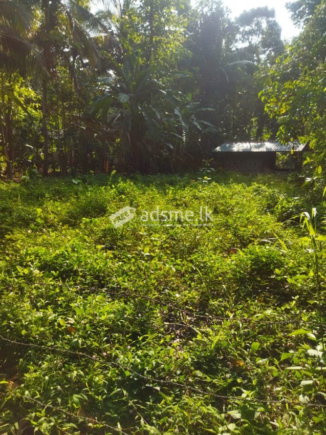 Valuable Land for sale in Alawwa
