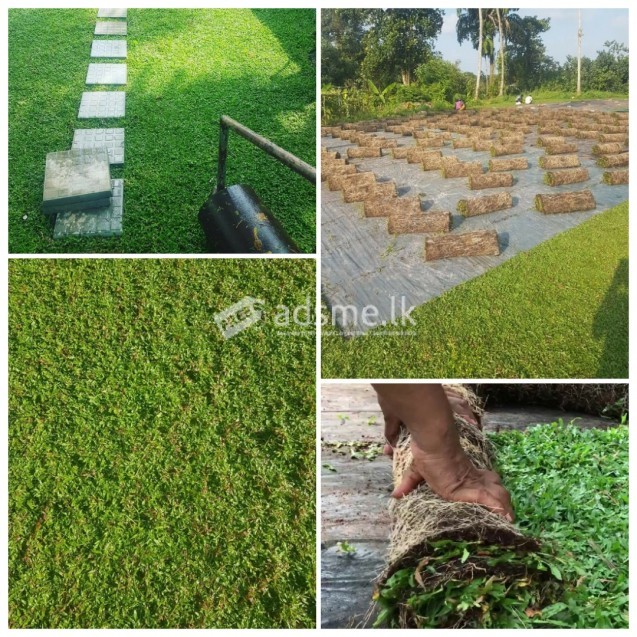 original malaysian grass carpets
