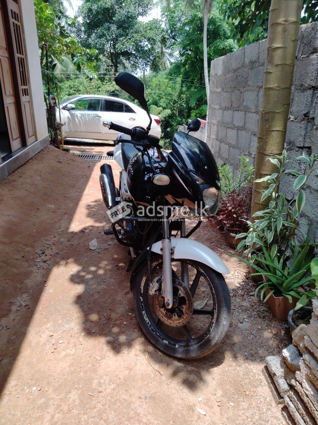 Bajaj Pulsar 180 2008 (Used)