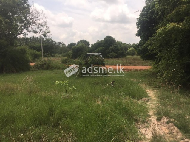 Land for Sale in Galgamuwa