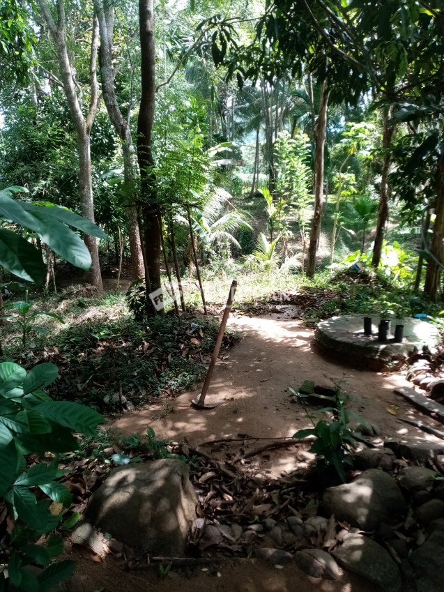 Home & Land for sale