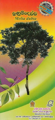 ලූනූ මිදෙල්ල ගසක් හා කොට්ටම්බා ගසක් හෝ දොඹ ගසක් අවශ්‍ය වී ඇත