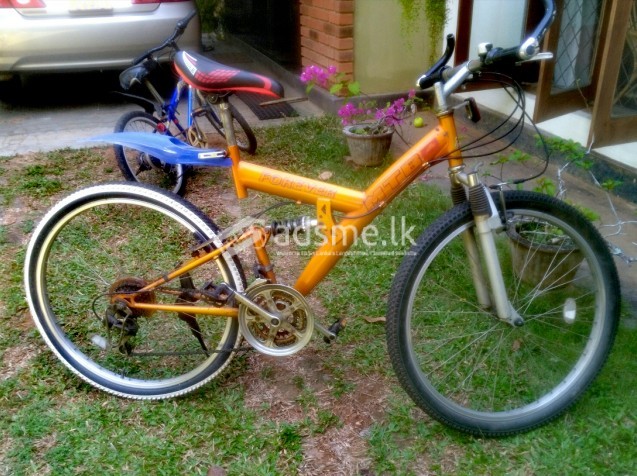 Mountain bike