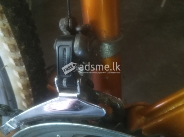 Mountain bike