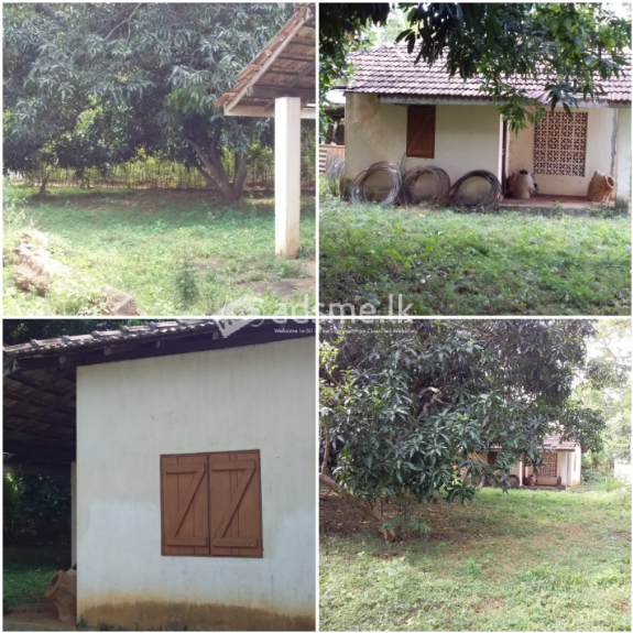 ඉඩමක්  විකිණීමට