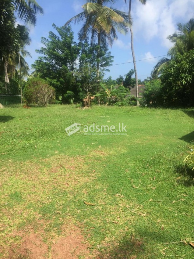 Land with a house for long term  rent /lease