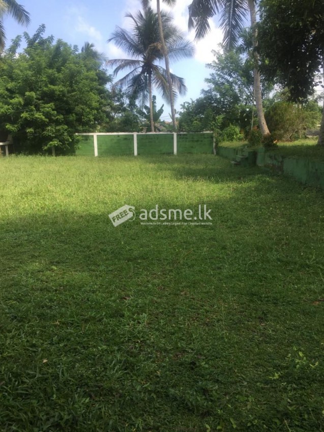 Land with a house for long term  rent /lease