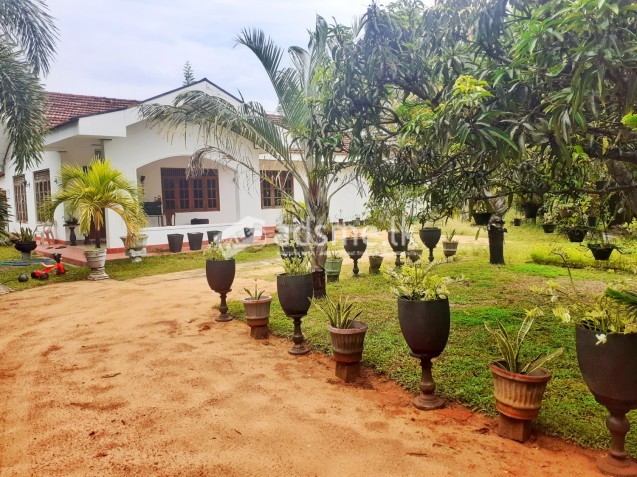 Pending House For Sale in Negombo (54 Perches)