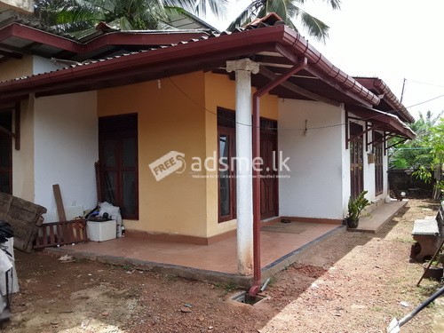 house for rent