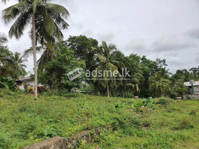 කොලමදිරිය පන්සල අසල පර්චස් 10 ක  ඉඩමක් විකිණීමට ඇත.
