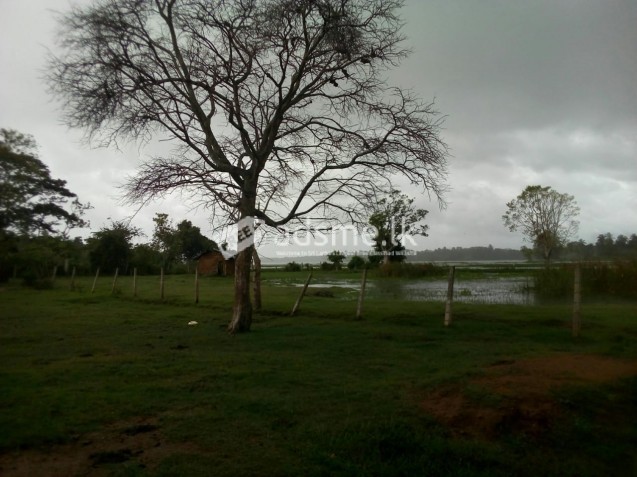 Land for sale immediately in ridiyagama