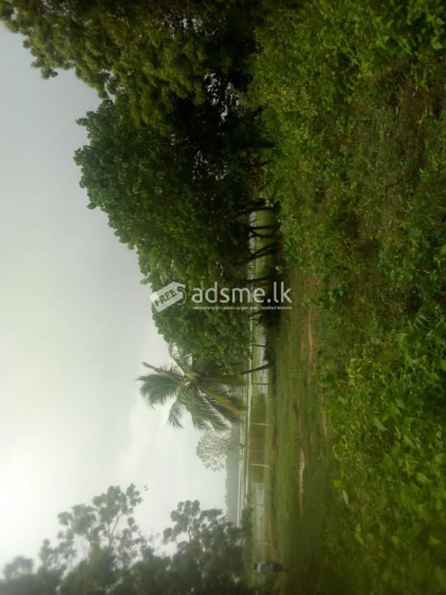 Land for sale immediately in ridiyagama
