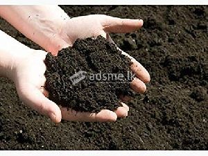සරාවත්, පිරිසිදු ගව ගොම {Fertile, clean cow dung}