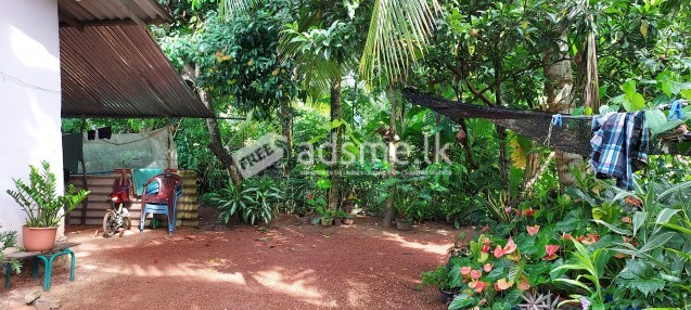 Small House For Sale