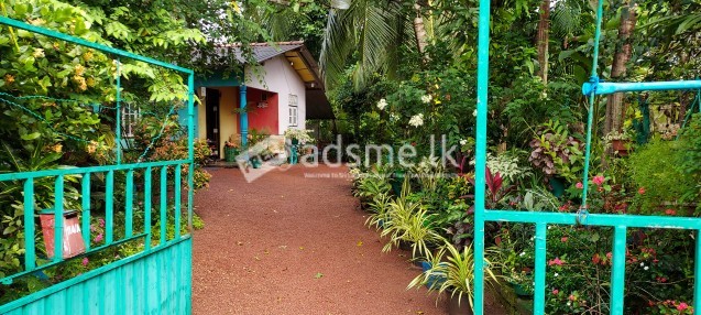 Small House For Sale