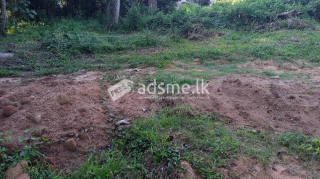 Land for sale in Tangalle