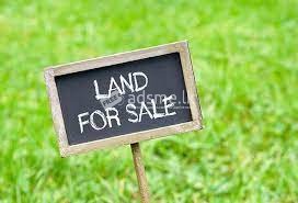 Land for Sale in Badulla