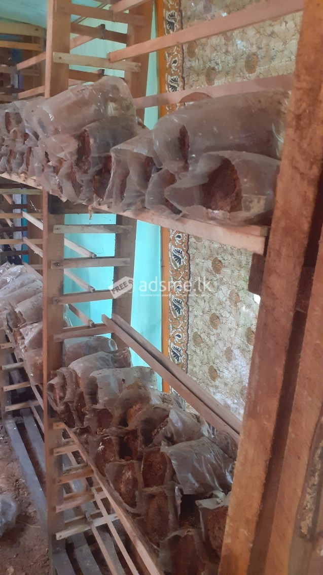 බිම්මල් පැකට් 5000ක් පමණ ගබඩා කළ හැකි ලී රාක්ක