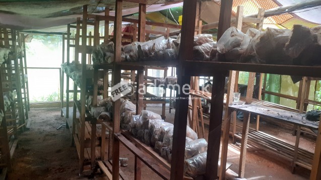 බිම්මල් පැකට් 5000ක් පමණ ගබඩා කළ හැකි ලී රාක්ක