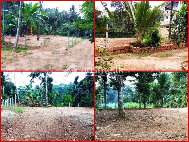 96 Perch Lands Badulla - බදුල්ල හාලිඇල පර්චස් 96ක්
