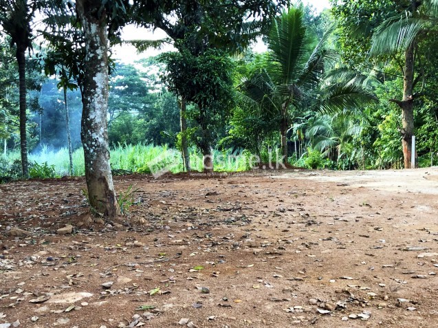 96 Perch Lands Badulla - බදුල්ල හාලිඇල පර්චස් 96ක්