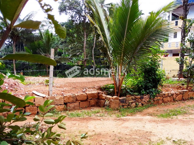 96 Perch Lands Badulla - බදුල්ල හාලිඇල පර්චස් 96ක්