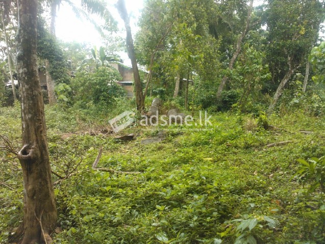 Land for sale hadeniya