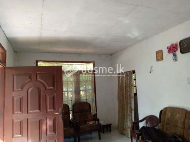 House for sale- near Panadura town